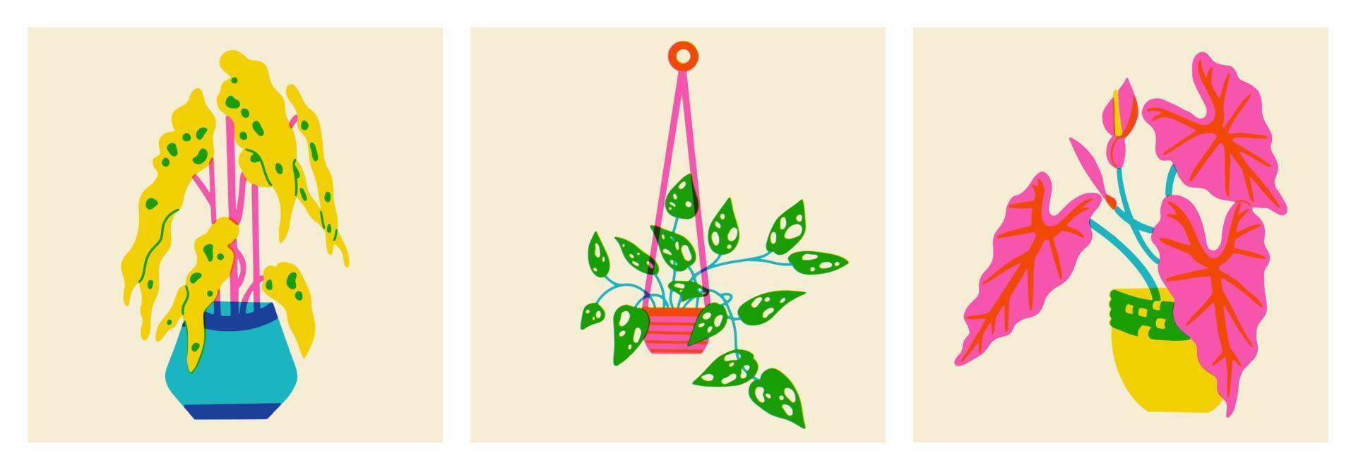 kamerplant in een pot. set bloemen in trendy risograph print textuur stijl. hand getekende afbeelding van sappig met bladeren op de achtergrond. vectorillustratie van palmblad vector