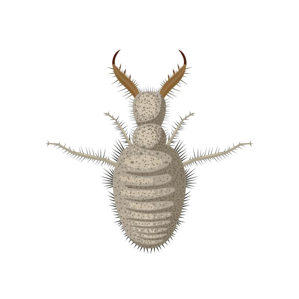 vectorillustratie, antlion of myrmeleontidae larven, geïsoleerd op een witte achtergrond. vector