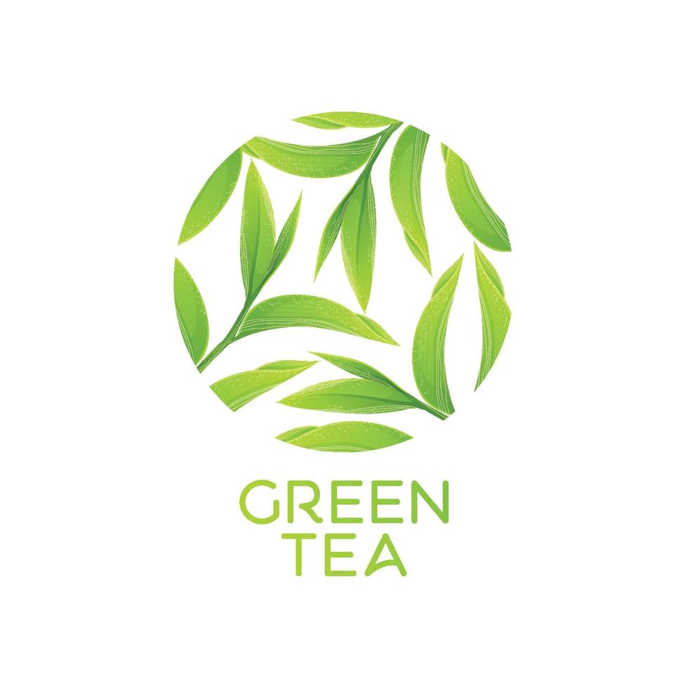 groene thee bladeren vector illustratie