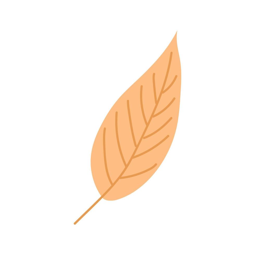 herfstbladeren doodle stijl gezellige herfst. platte vectorillustratie vector