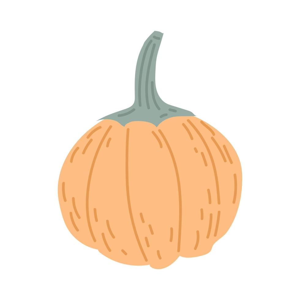 pompoen doodle stijl gezellige herfst. platte vectorillustratie vector