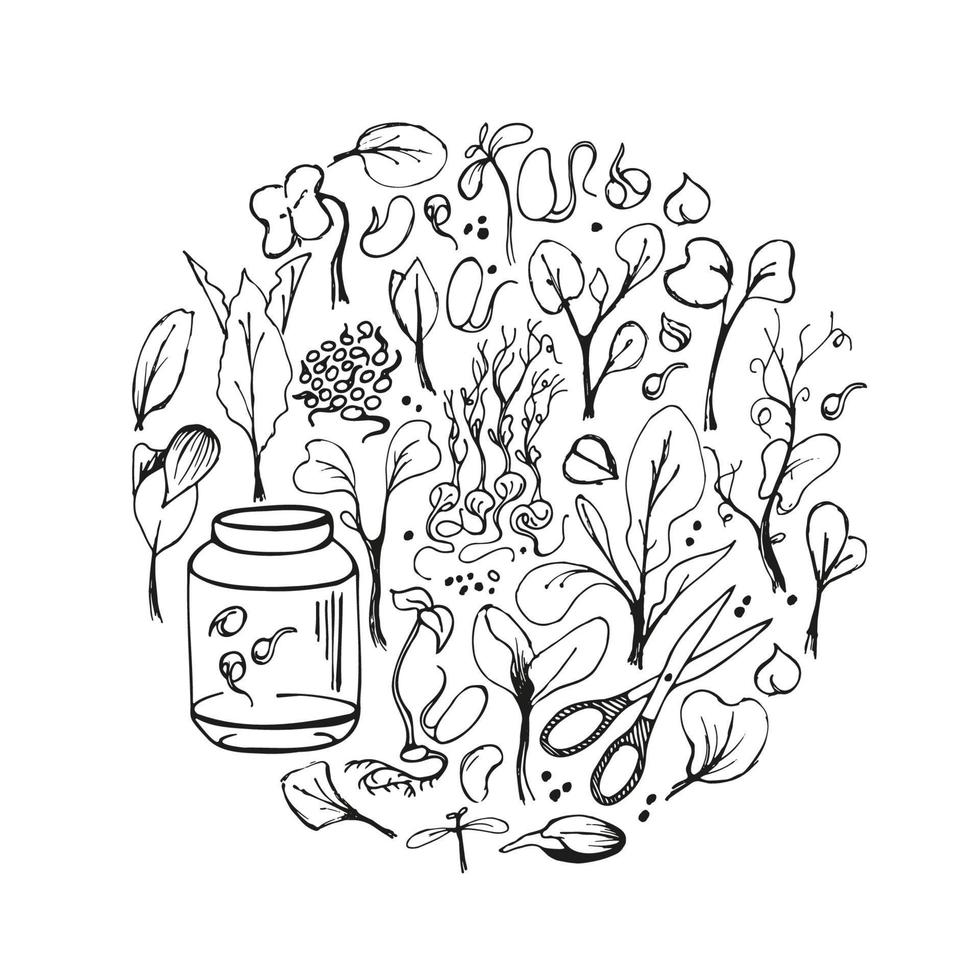 set van microgreens doodle illustratie. vector hand getrokken schets achtergrond