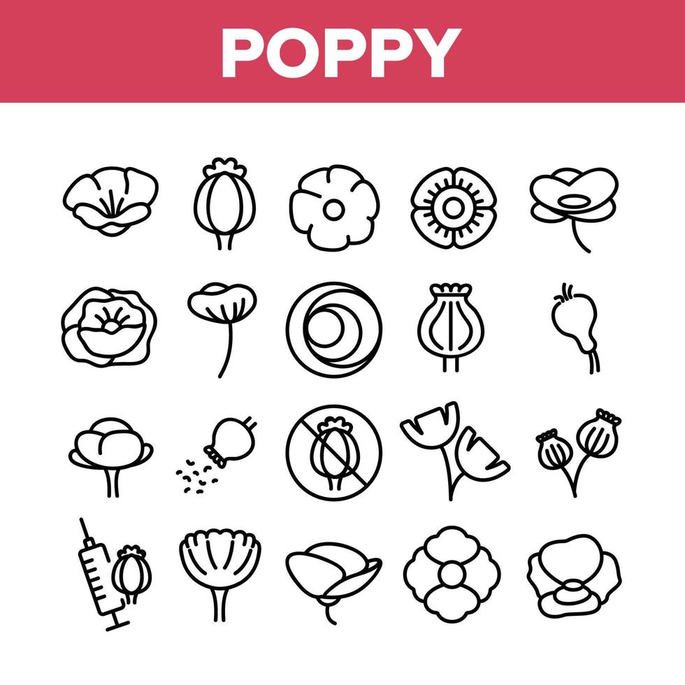 poppy natuurlijke bloem collectie iconen set vector