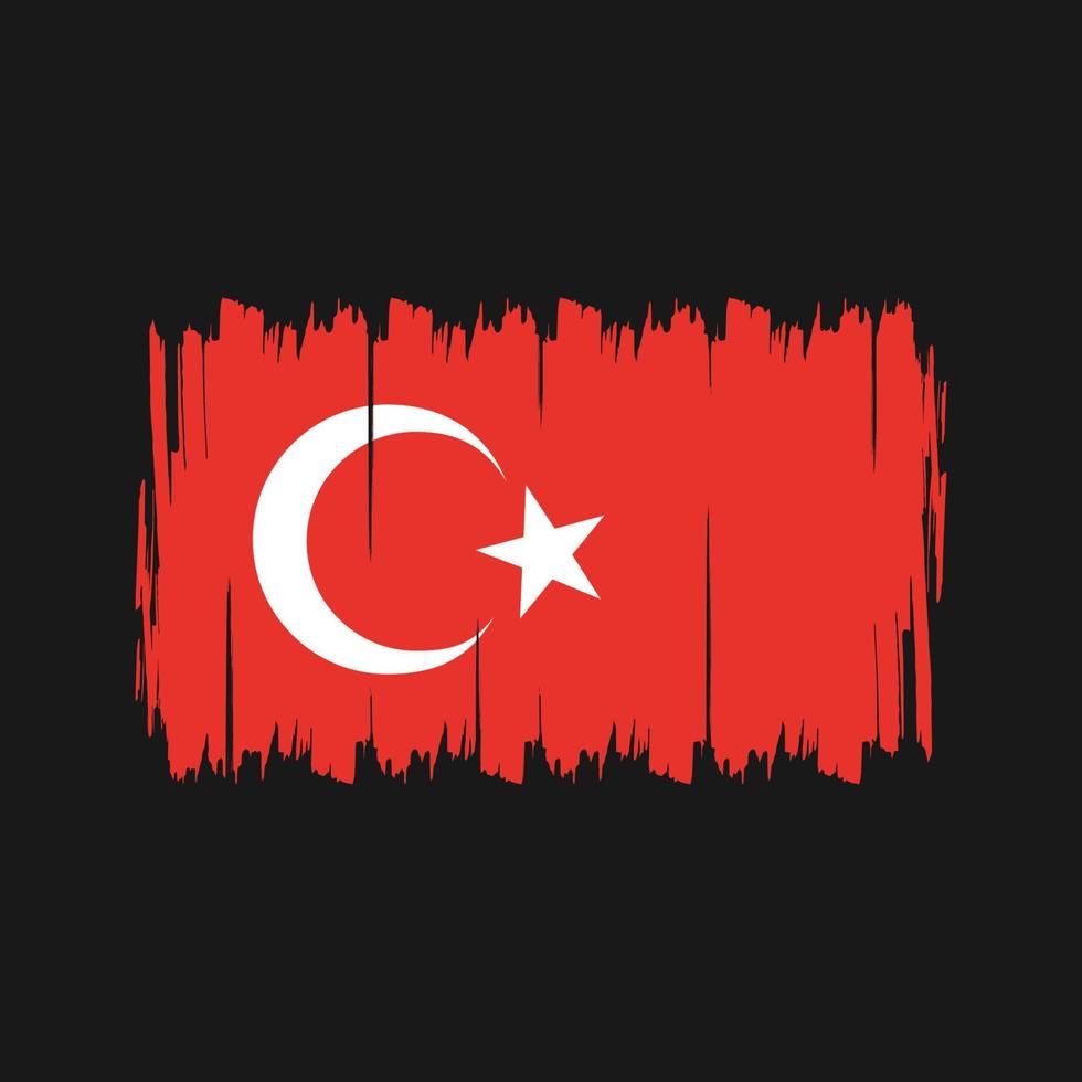 turkije vlag borstel. nationale vlag vector