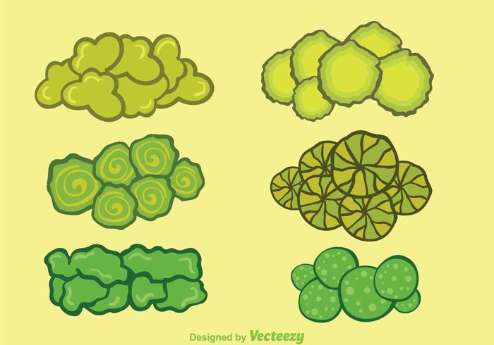 Groene Bomen Top View vector