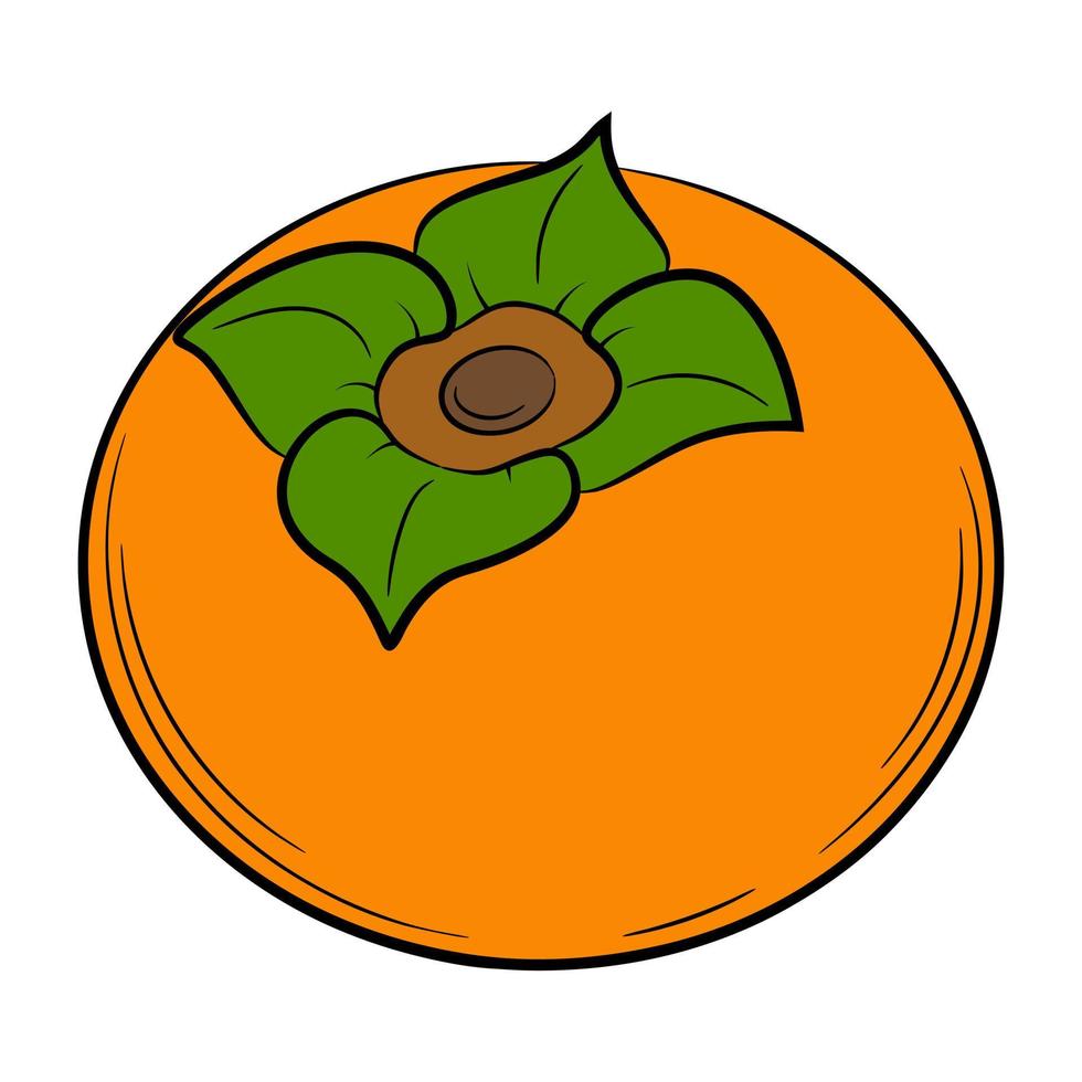 persimmon fruit in een lineaire stijl. kleurrijke decoratieve vectorelement, met de hand getekend. vector