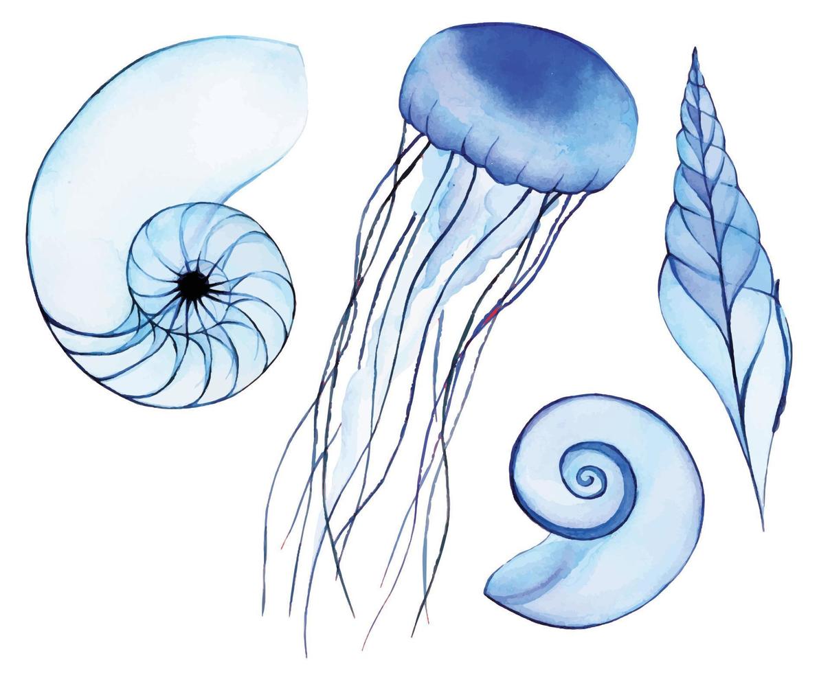 aquarel tekenen, set van zeeleven. zeeschelp, weekdier, kwallen. transparante zeedieren, x-ray, abstracte tekening in blauwe kleuren. vector