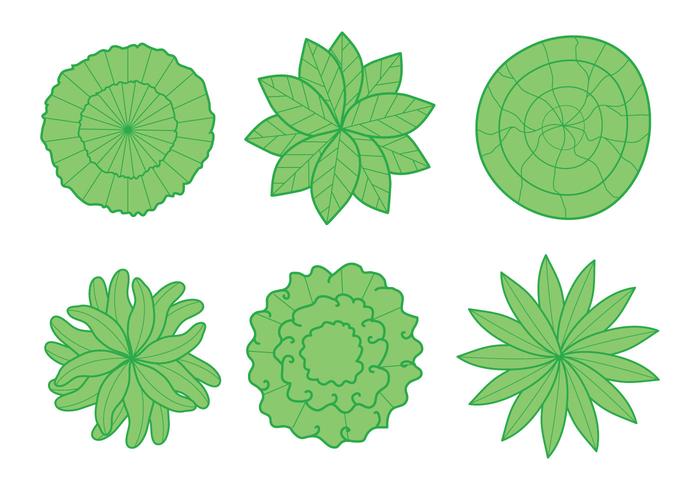 Planten bovenaanzicht vector