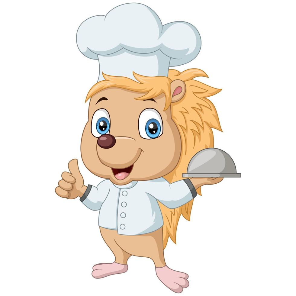 schattige egel chef-kok cartoon duim opgevend vector