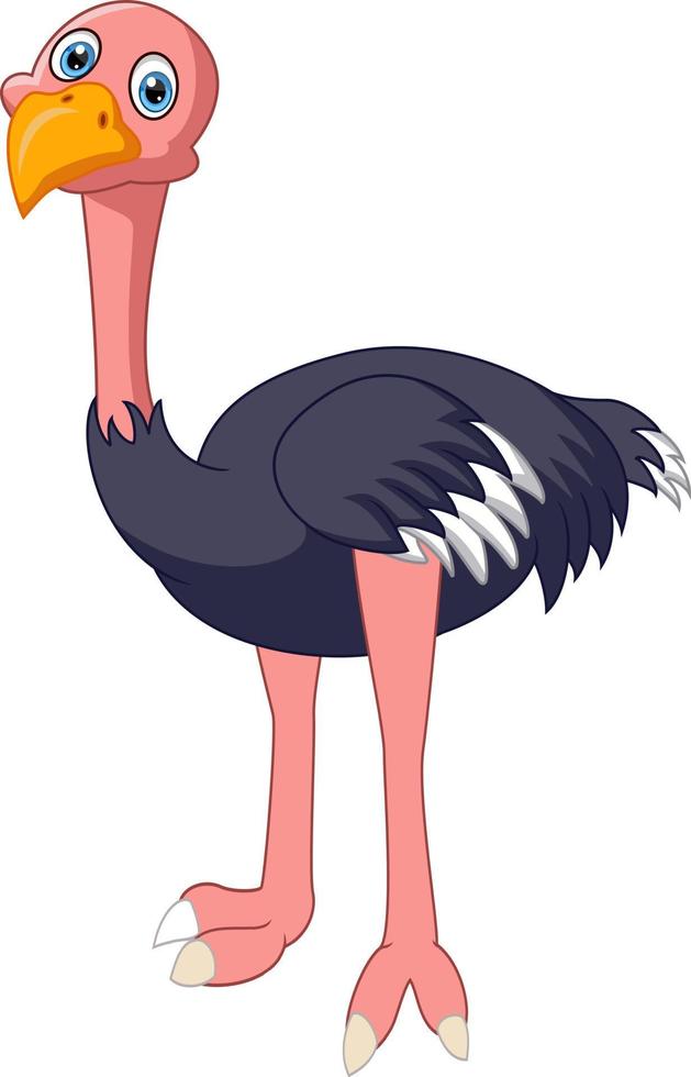 schattige struisvogel cartoon geïsoleerd op een witte achtergrond vector