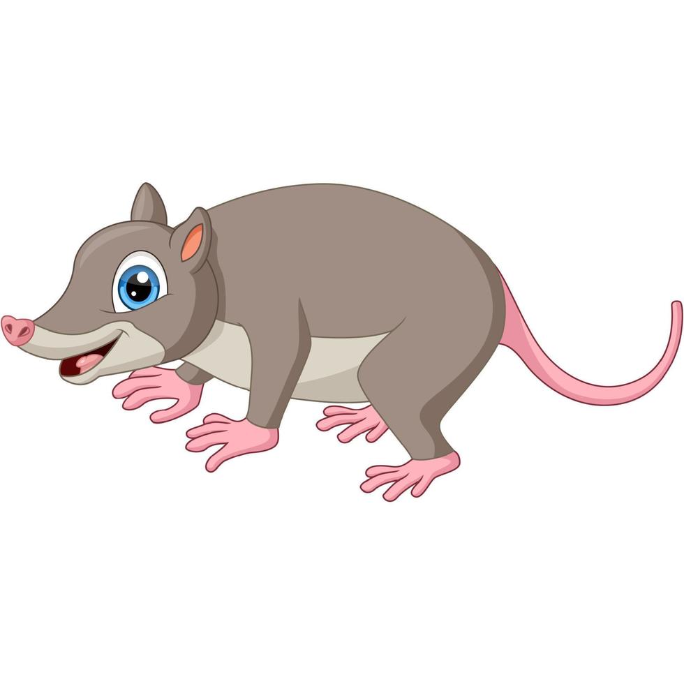 schattige opossum cartoon op witte achtergrond vector