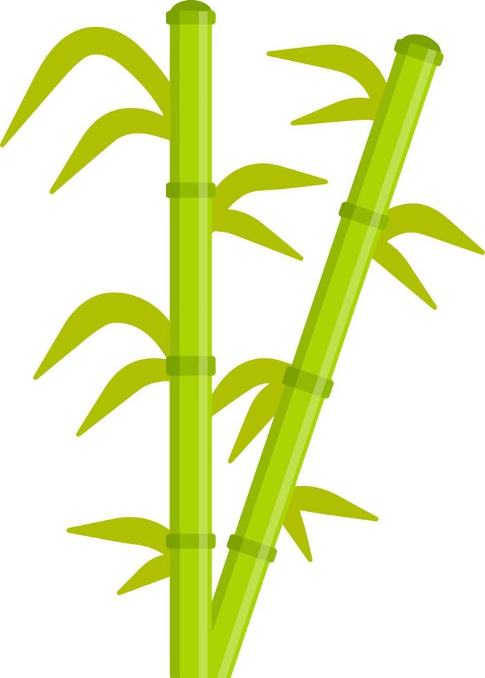 groene stengel van plant. Aziatische stok en tak. vector