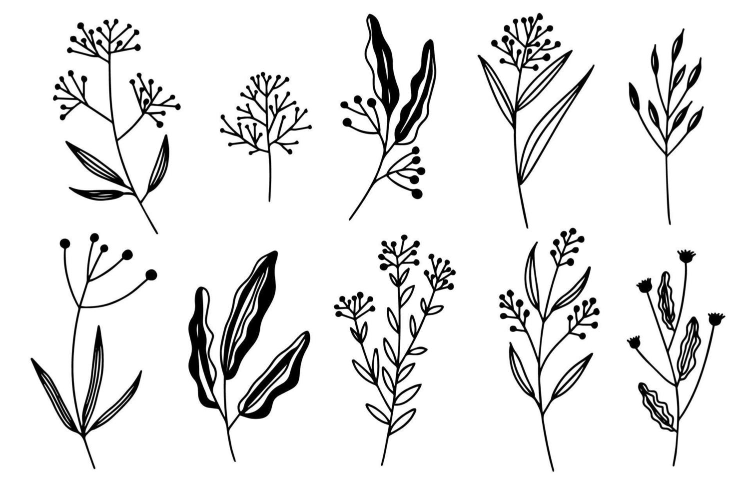 vectorillustraties - een set van grafische bloemen, planten. 10 handgetekende ontwerpelementen in schetsstijl. perfect voor het maken van prints, patronen, tatoeages, enz. vector