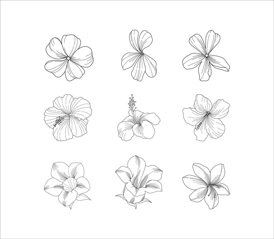 verzameling illustraties van schoonheidsbloemen vector