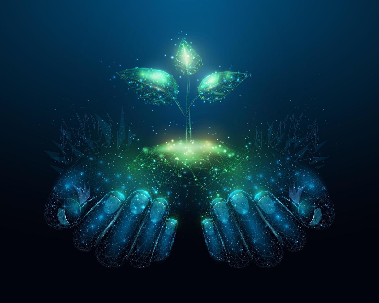 twee menselijke handen houden groene spruit vast. gloeiende lage poly handen en plant op donkerblauwe achtergrond. draadframe laag poly ontwerp. abstracte futuristische vectorillustratie vector