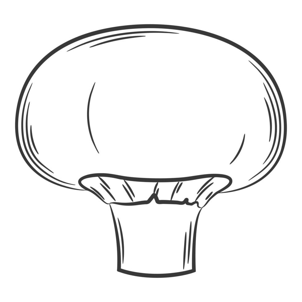 champignon, paddestoel. een groente in een lineaire stijl, met de hand getekend. voedselingrediënt, ontwerp element.lineart. zwart-wit vectorillustratie. geïsoleerd op een witte achtergrond vector