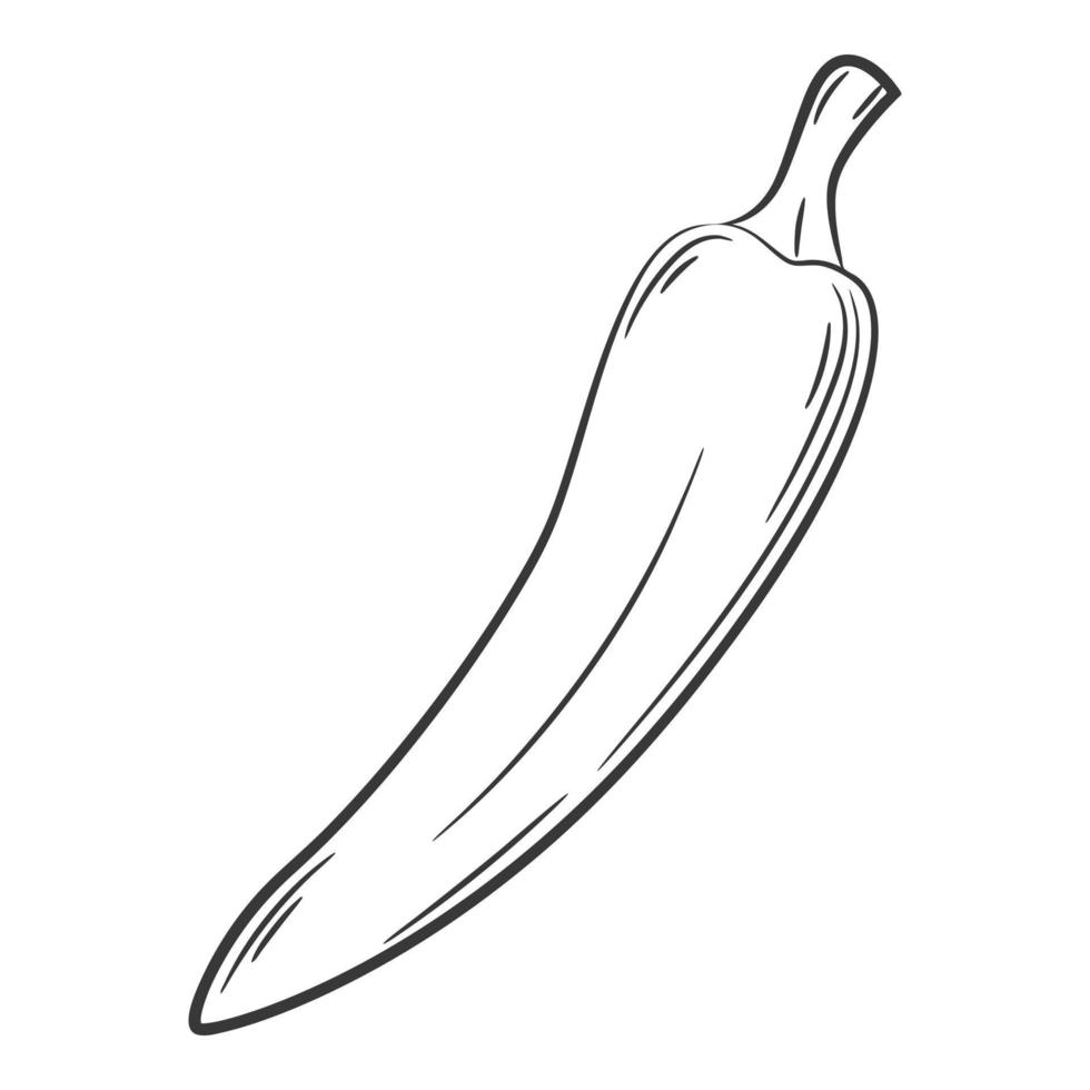Chili peper. een groente in een lineaire stijl, met de hand getekend. voedselingrediënt, ontwerp element.lineart. zwart-wit vectorillustratie. geïsoleerd op een witte achtergrond vector