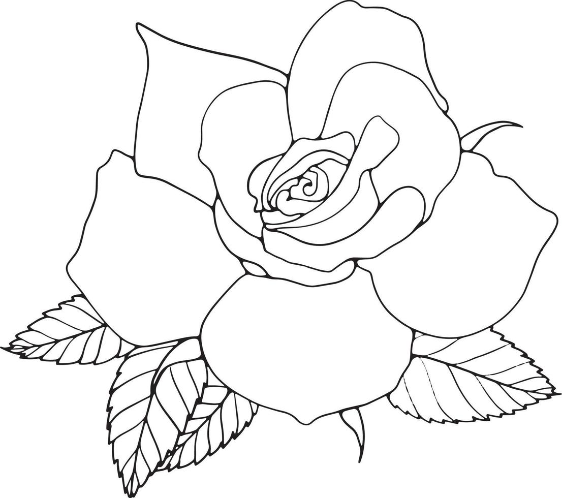 roos lijntekeningen bloemen lijntekeningen roos bloem lijntekeningen vectorillustratie voor uitnodiging, kaarten, enz. vector