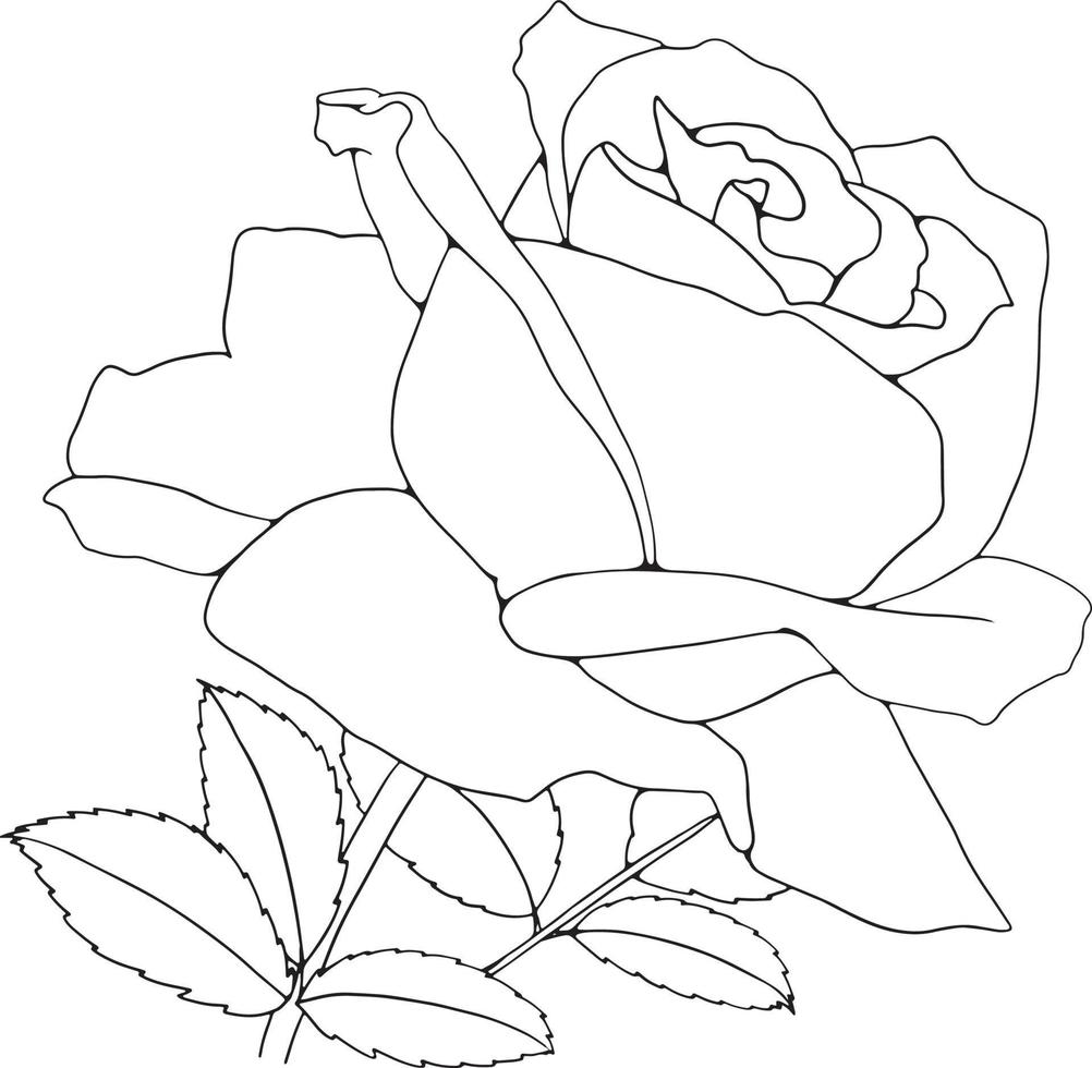 roos lijntekeningen bloemen lijntekeningen roos bloem lijntekeningen vectorillustratie voor uitnodiging, kaarten, enz. vector