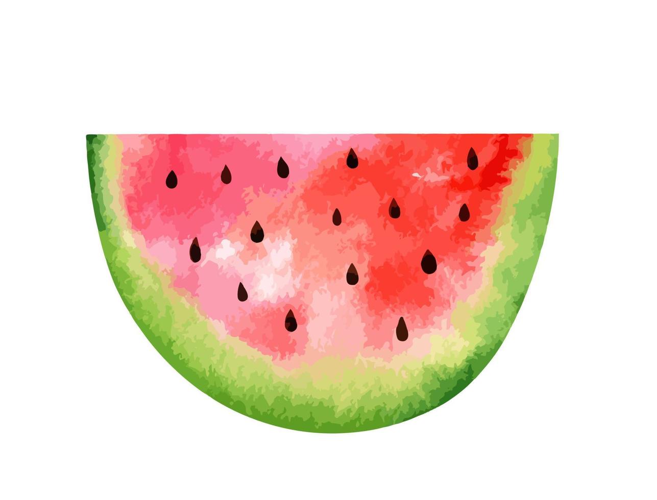 plakje watermeloen geïsoleerd op een witte achtergrond aquarel hand getekende illustratie vector