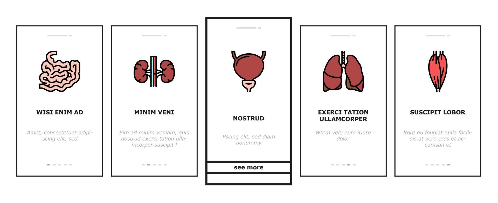 menselijke interne orgel anatomie onboarding pictogrammen instellen vector