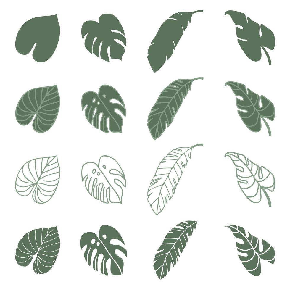 vector tropische palmbladeren, jungle bladeren, gespleten blad, philodendron bladeren, set geïsoleerd op een witte achtergrond