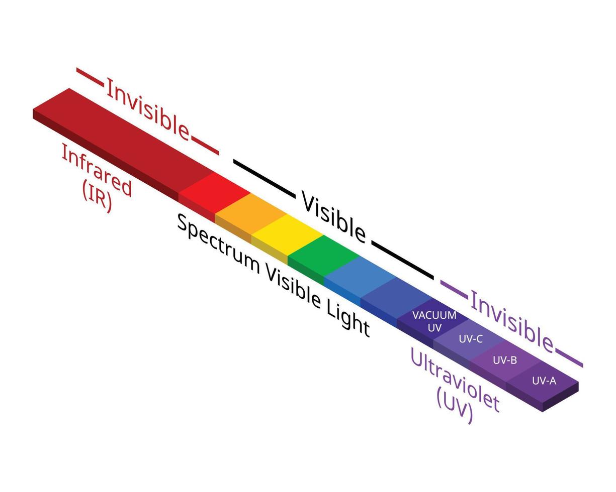 zichtbaar en onzichtbaar licht van ultraviolet en infrarood vector