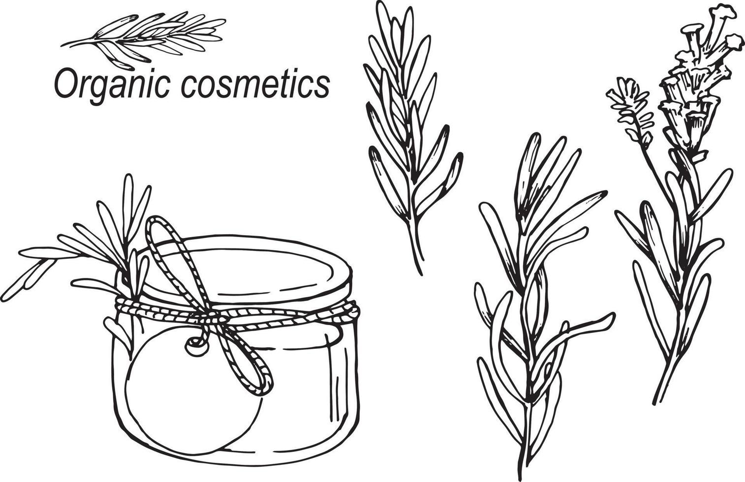 voorraad illustratie. set geïsoleerd op een witte achtergrond. uit de vrije hand tekenen met ruimte voor tekst. natuurlijke cosmetica, gezondheid, container met cosmetica-olie, masker, crème. lavendel bloemen bladeren, logo vector