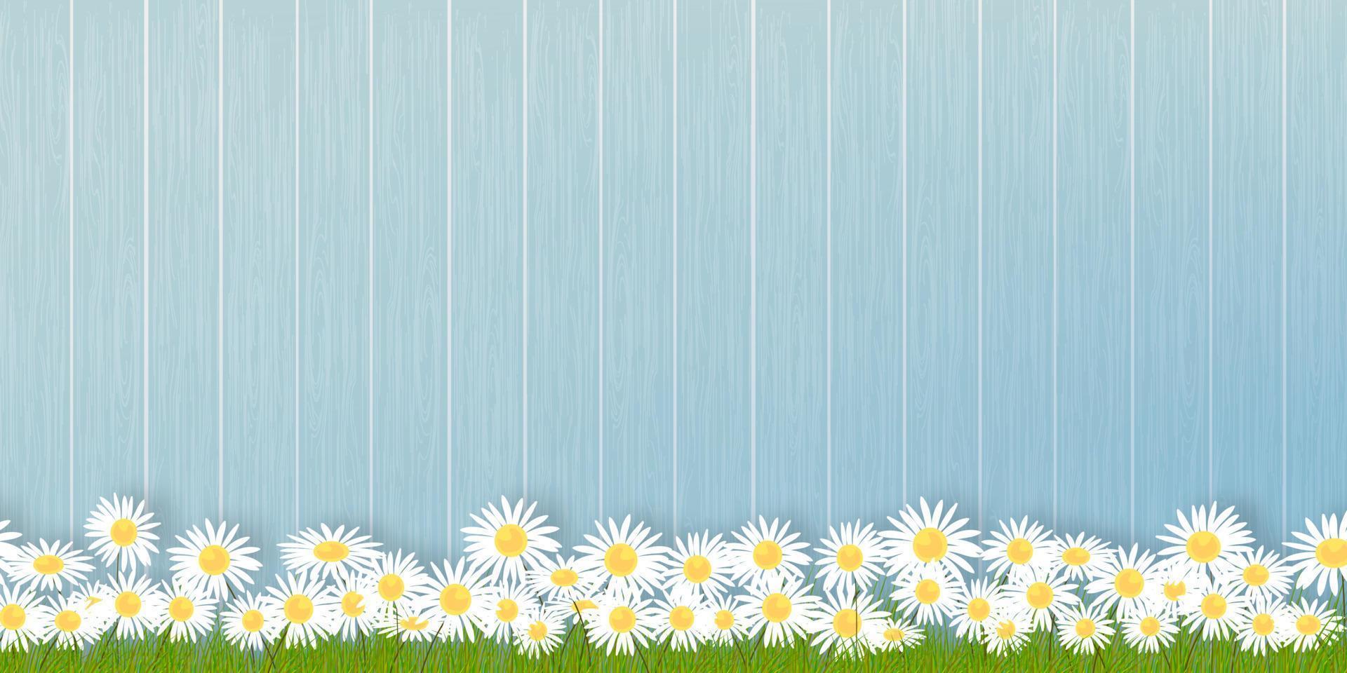 lente achtergrond met bloem grasveld op houten wandpaneel, vector illustratie banner achtergrond van zomer natuur met chamomiles bloemen op blauwe houten hek.