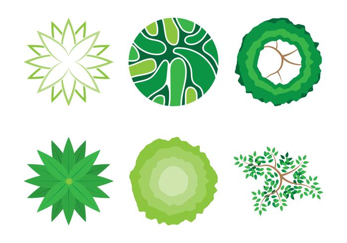 Landschap Plant Decoratie vector