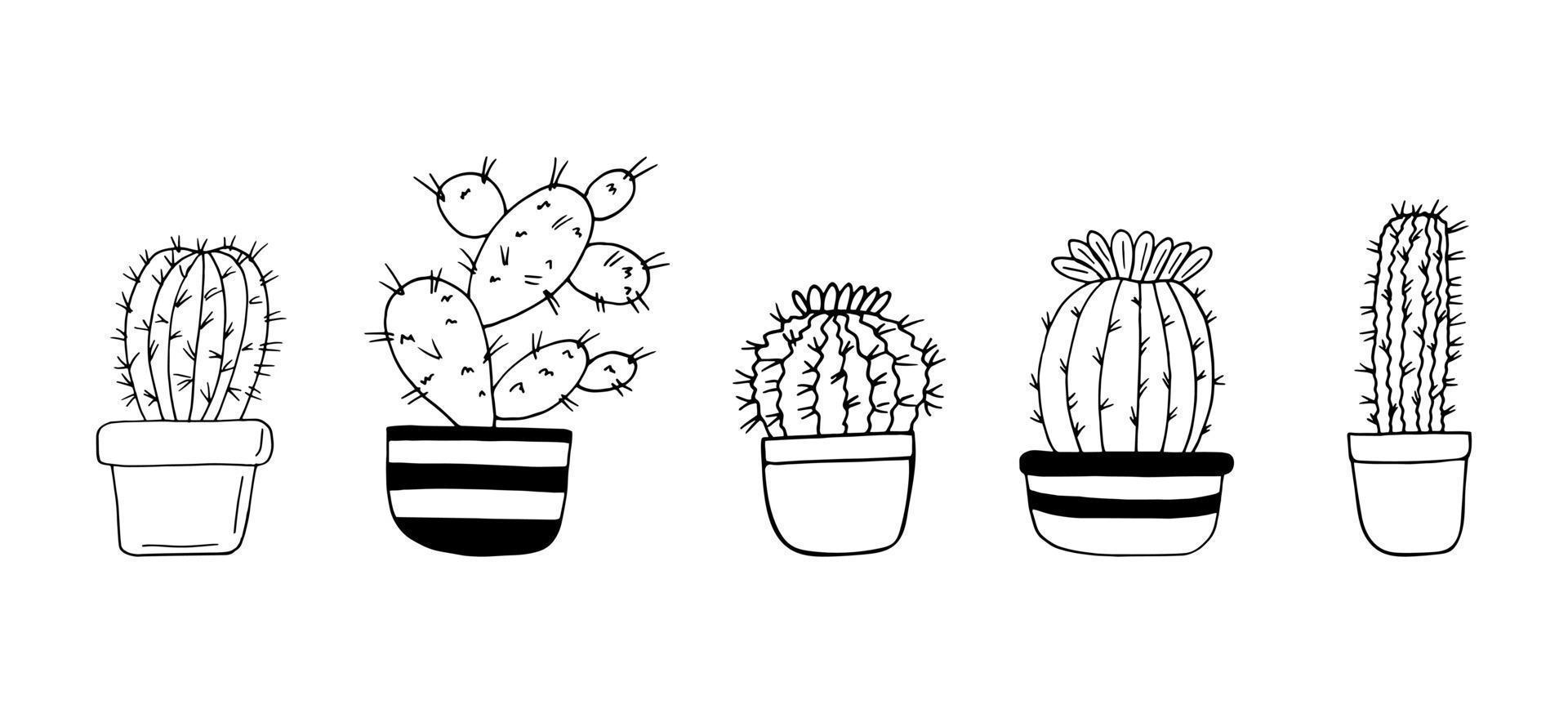 cactus in potten ingesteld pictogram hand getrokken. , minimalisme, scandinavisch, monochroom, nordic sticker plant bloemen vector