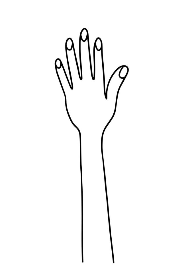 hand getrokken doodle menselijke hand. vector eenvoudige hand illustratie