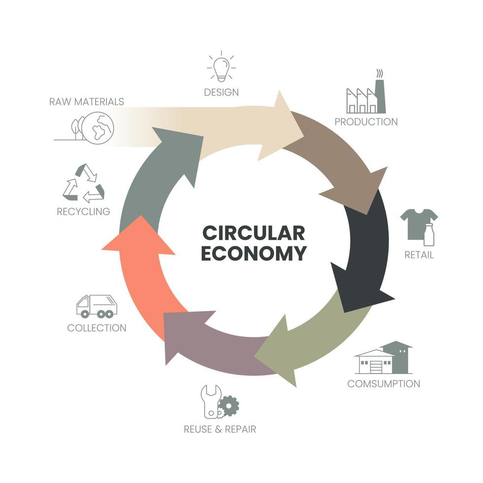het vector infographic diagram van het concept circulaire economie heeft 3 dimensies. fabricage moet bijvoorbeeld ontwerpen en produceren. het verbruikte verbruik wordt geminimaliseerd, verzameld en gesorteerd.
