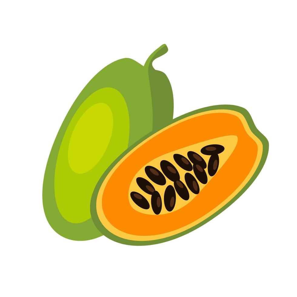 papaya fruit, heel en in plakjes. vector illustratie hand getekende icoon van zomer gezonde voeding geheel en half geïsoleerd op wit.