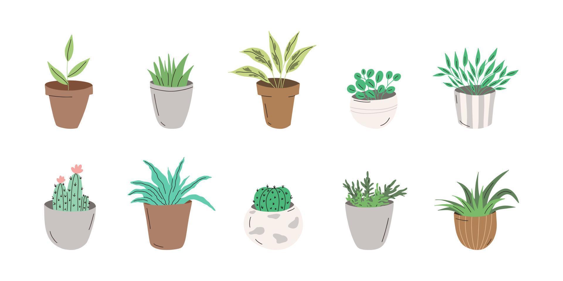 set trendy kamerplanten in pot. verschillende indoor bloemen geïsoleerd op een witte achtergrond. alocasia, begonia, waaierpalm, monstera, ficus, strelitzia en oxalis. platte vectorillustratie vector