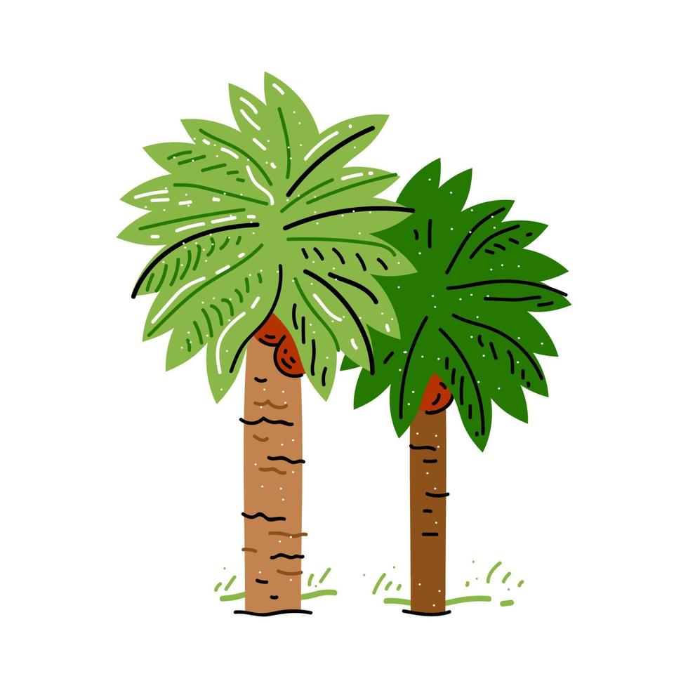 palmboom geïsoleerd op een witte achtergrond. vlakke stijl. vector illustratie