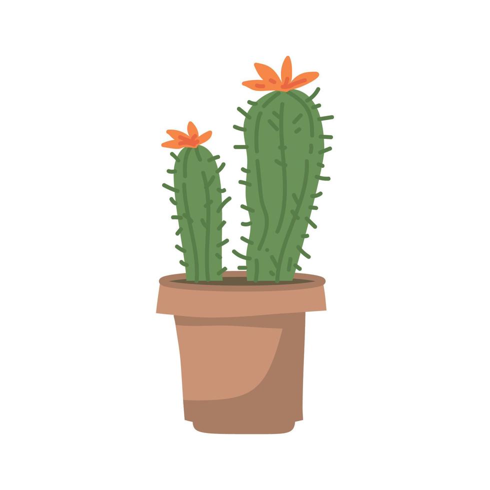 schattige cactussen en sappig in pot op witte achtergrond. vectorillustratie. vector