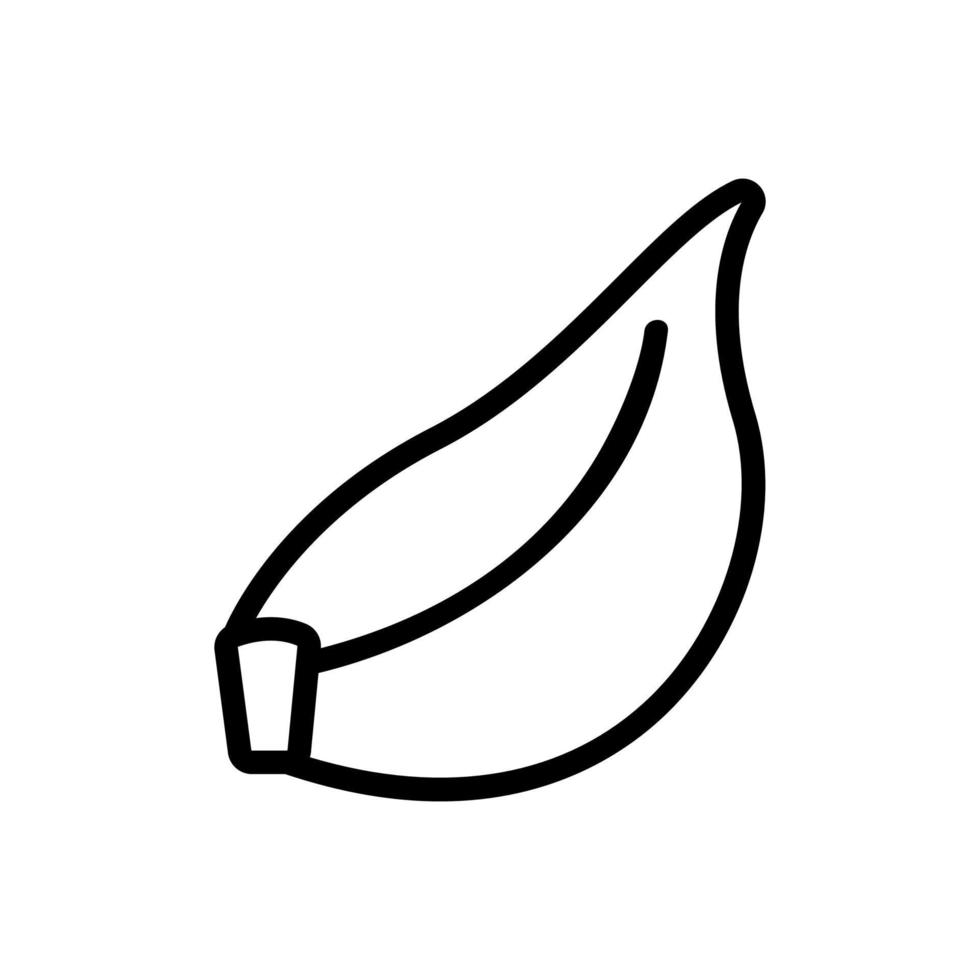 knoflook pictogram vector. geïsoleerde contour symbool illustratie vector