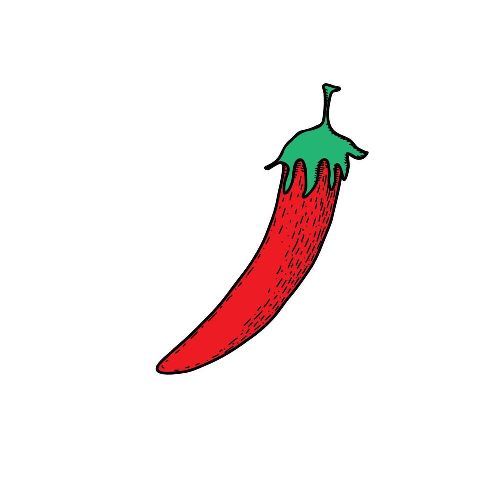 Mexicaans eten. jalapeno. hand getekende vectorillustratie in doodle stijl. vector