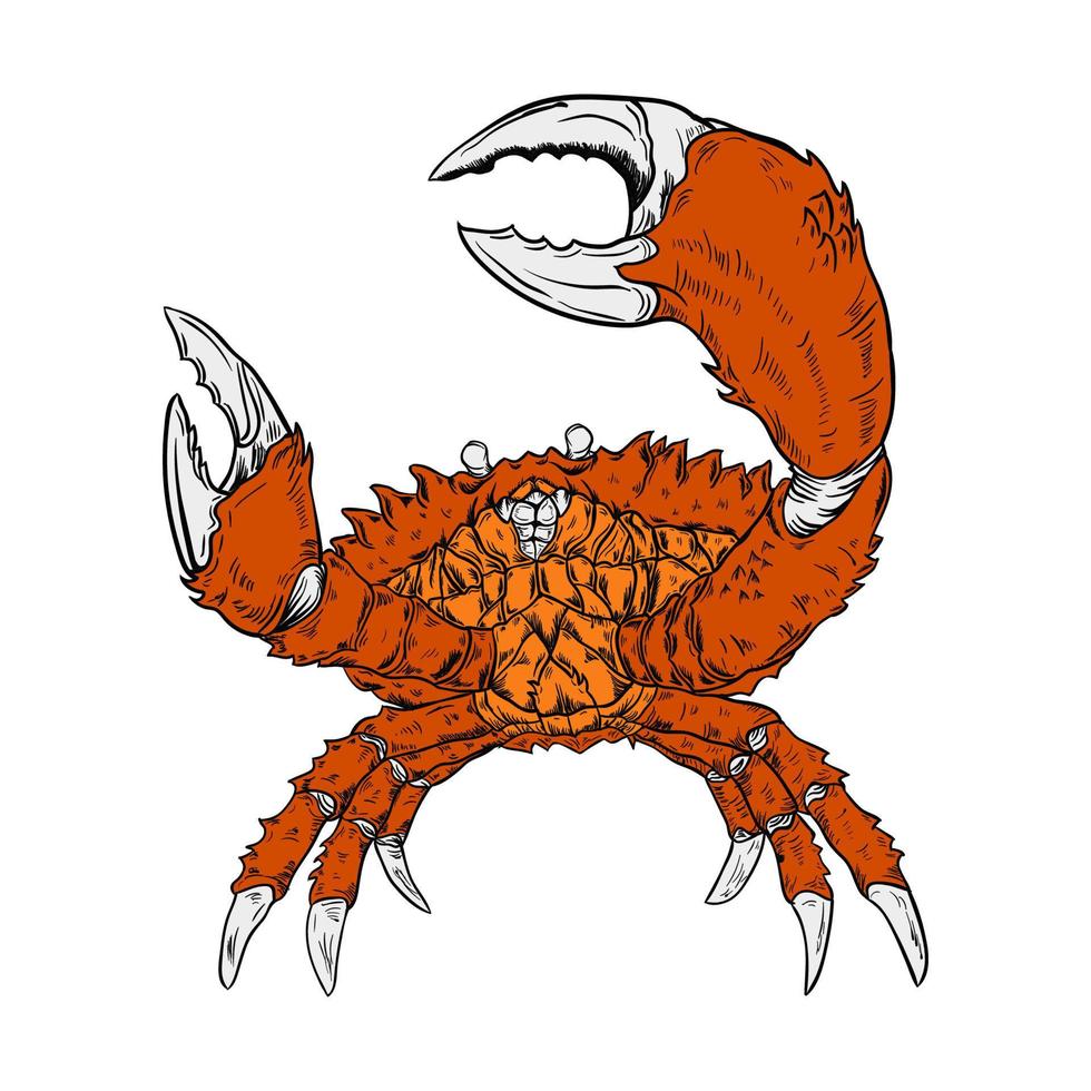 krab vector handgetekende