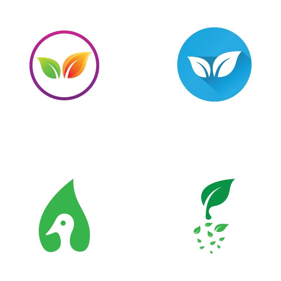 groen blad logo. vectorontwerp van tuinen, planten en natuur. vector