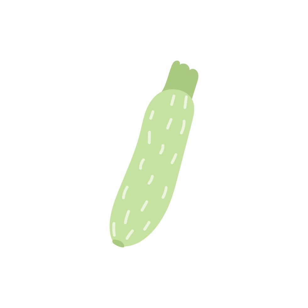 cartoon courgette geïsoleerd. groene courgette illustratie vector. groen fruit groente met een zilverachtig patroon geïsoleerd op een witte achtergrond. vector