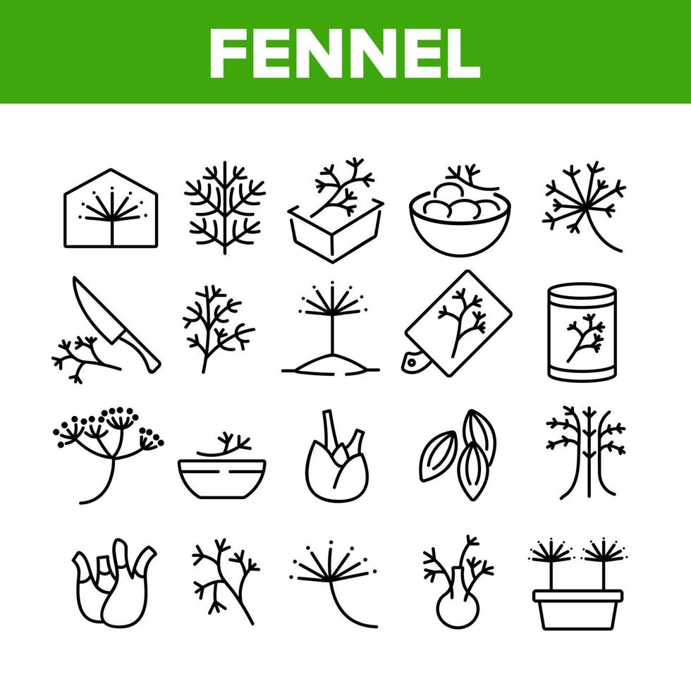 venkel bloeiende plant collectie iconen set vector