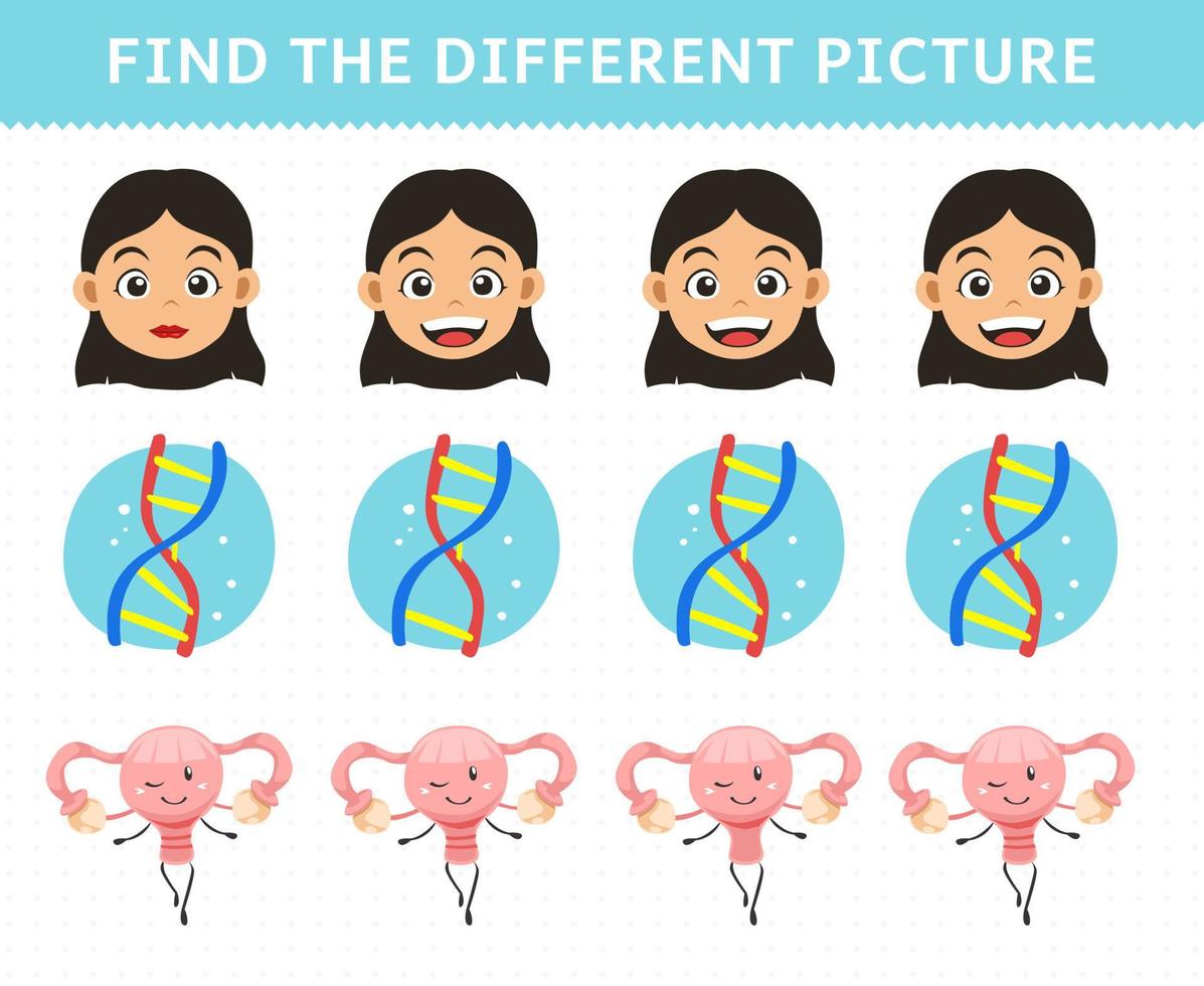 educatief spel voor kinderen vind de verschillende foto in elke rij leuke cartoon menselijke anatomie en orgel meisje hoofd dna baarmoeder vector