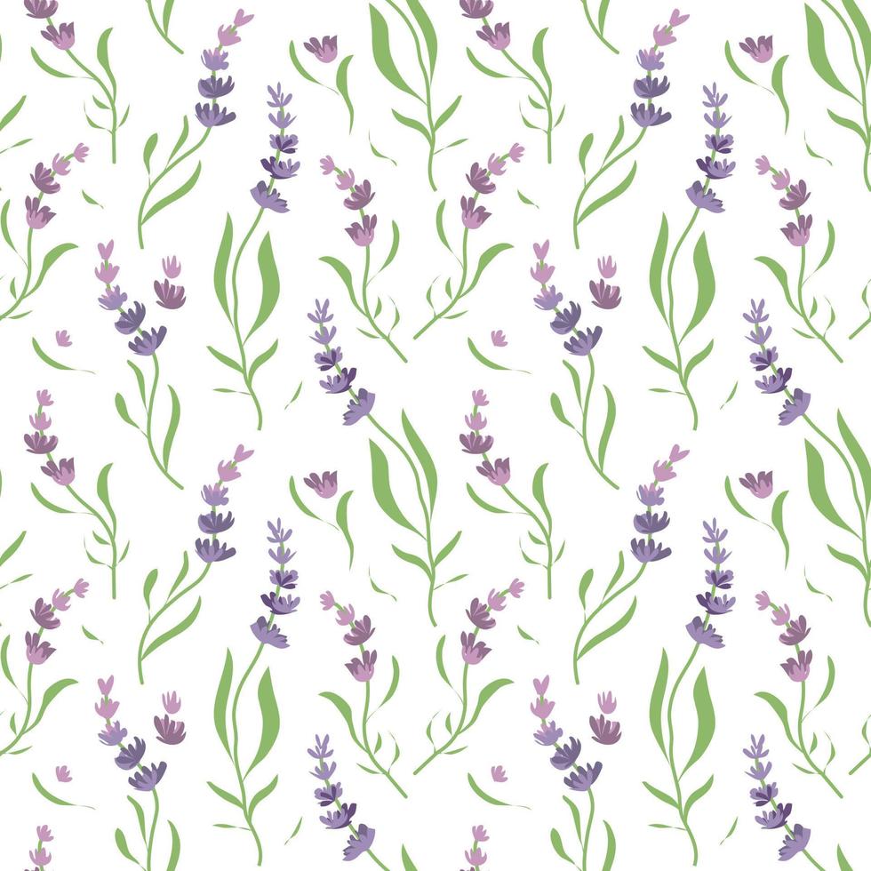 patroon bloemen heks bloemen van lavendel vector