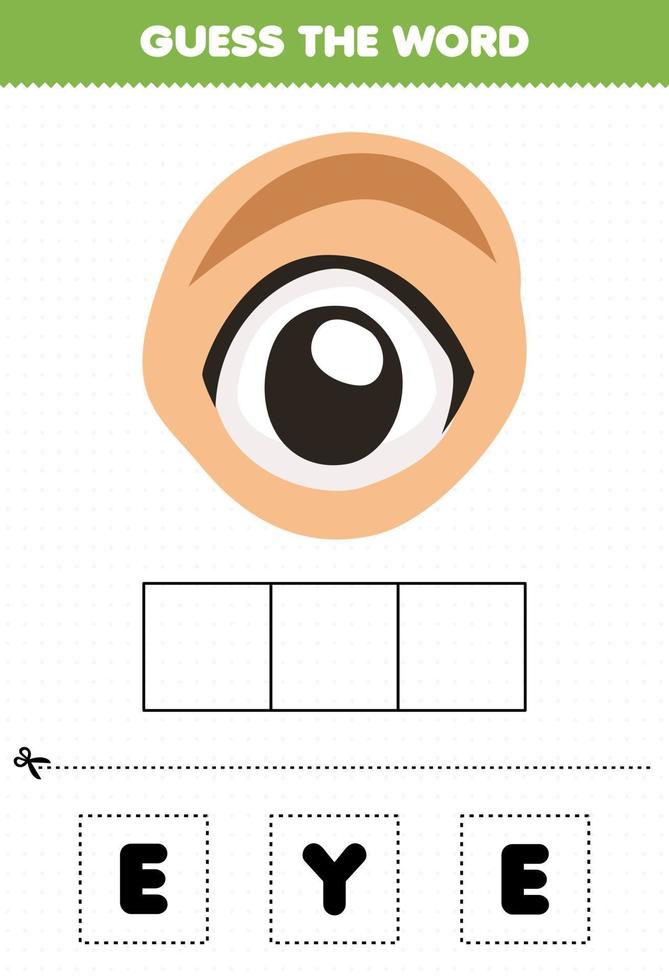 educatief spel voor kinderen raad het woord letters oefenen leuke cartoon menselijke anatomie oog vector