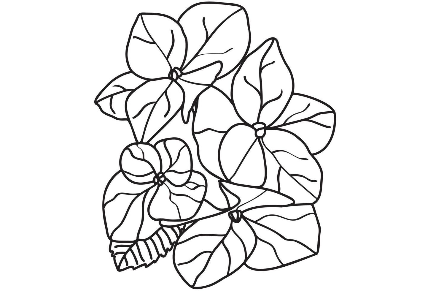 hortensia getekend in zwarte omtrek is bedoeld voor tatoeage, kaart, print, label, logo, valentijn, 8 maart, kleuren en je kunt het in verschillende gevallen gebruiken vector