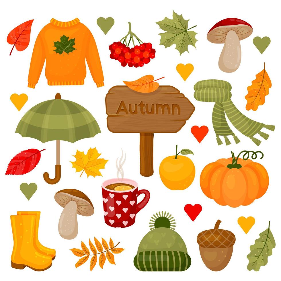 herfst kleur collectie. clipart set met herfstbladeren, pompoen, eikel, trui, muts, sjaal, kopje hete thee, champignons en andere symbolen van de herfst. geïsoleerde objecten. vectorillustratie. cartoon-stijl. vector