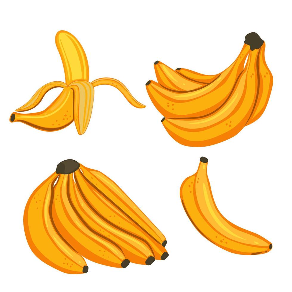 set van bananen geïsoleerd op een witte achtergrond. vectorafbeeldingen. vector