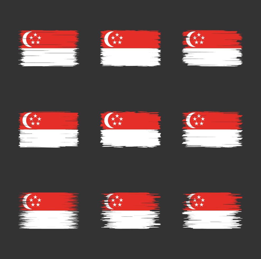 singapore vlagborstel collectie vector